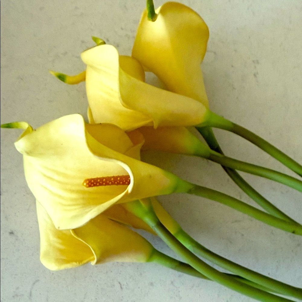 Yellow Artificial Calla Lily Stems Realistic Faux Floral Home Decor 10 Piece Set